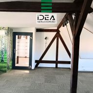 Lokal na wynajem