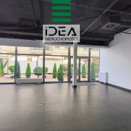 Lokal na wynajem