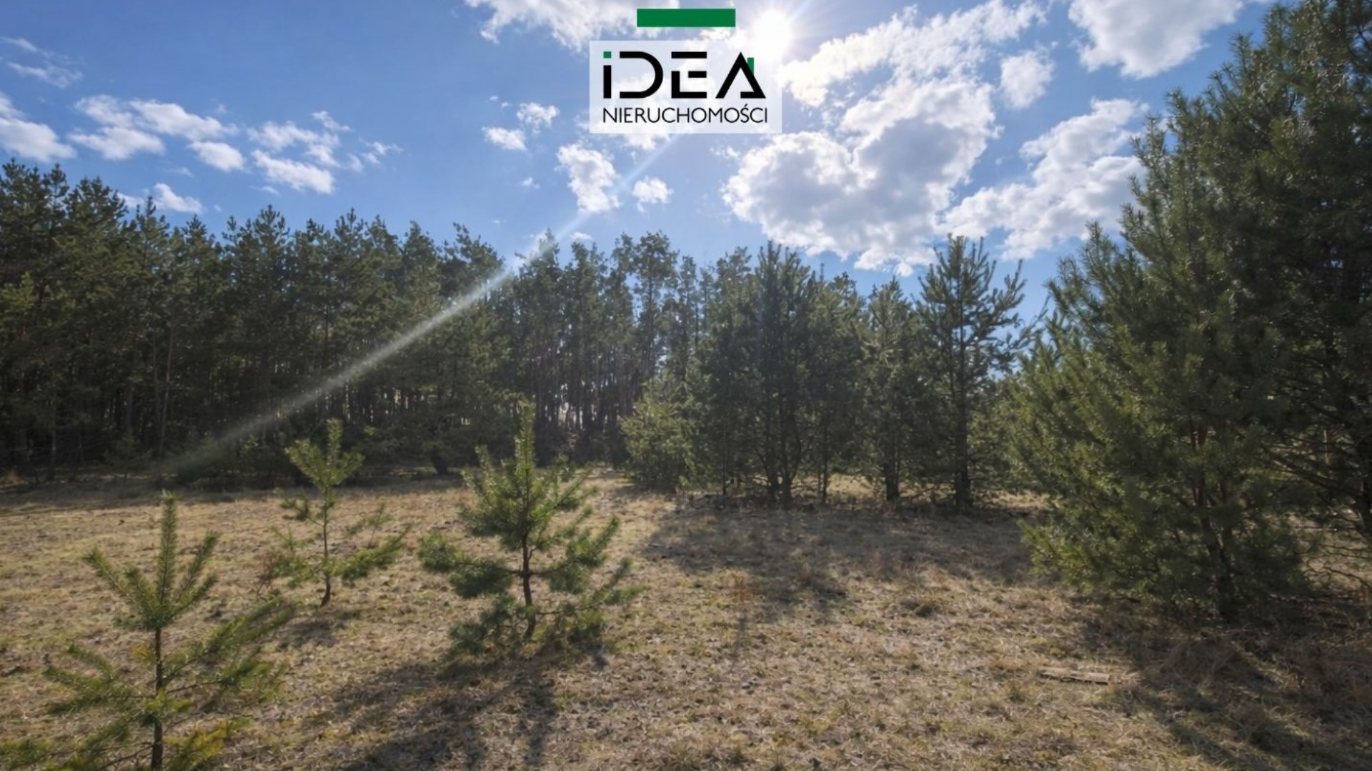 Działka na sprzedaż