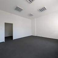 Lokal na wynajem